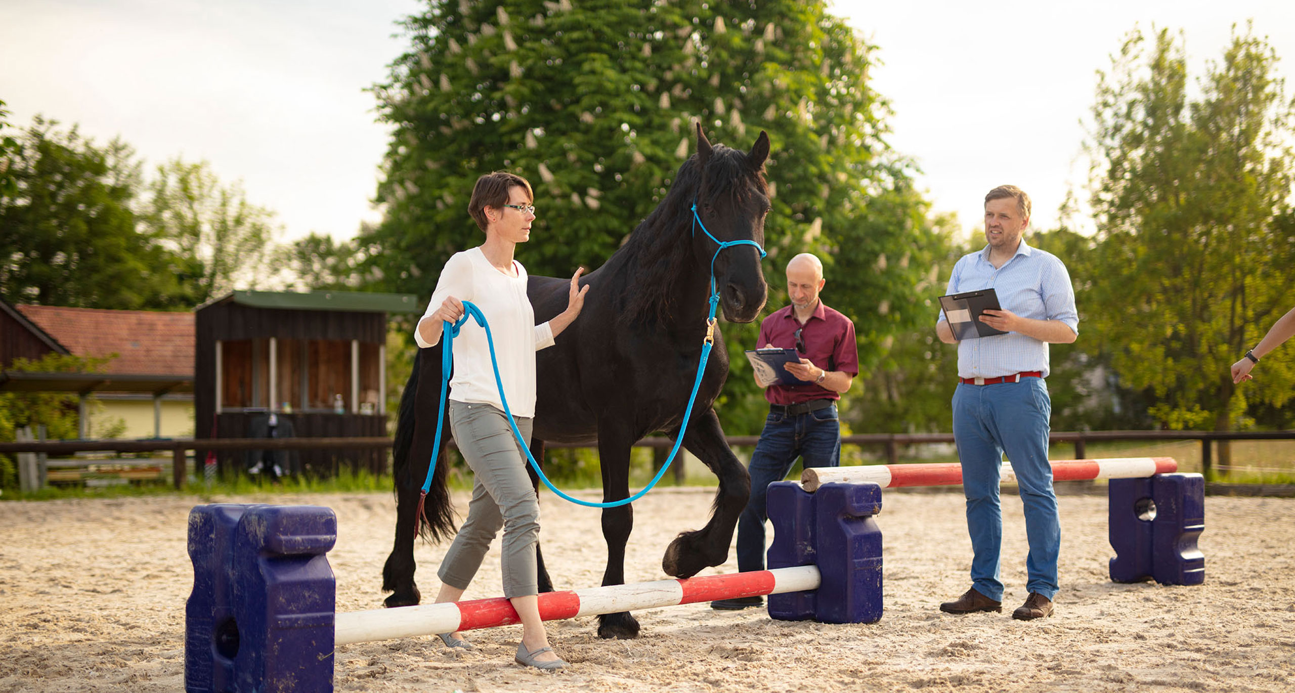 Leitende und führende Personen